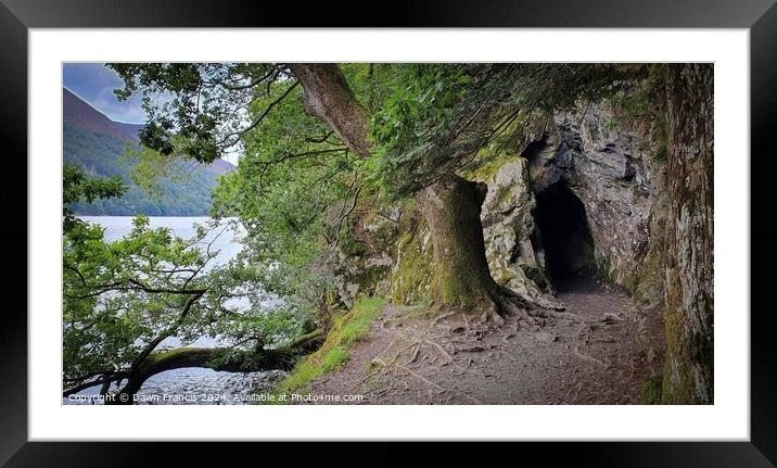 Pathway through a tree Framed Mounted Print by Dawn Francis