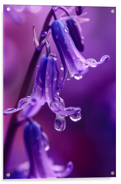  Bluebells ~ Morning Dew Acrylic by T2 