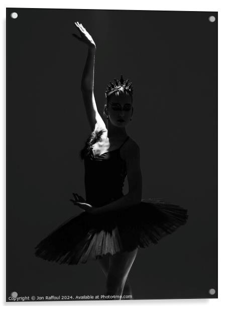 Black Swan Chronicles Acrylic by Jon Raffoul