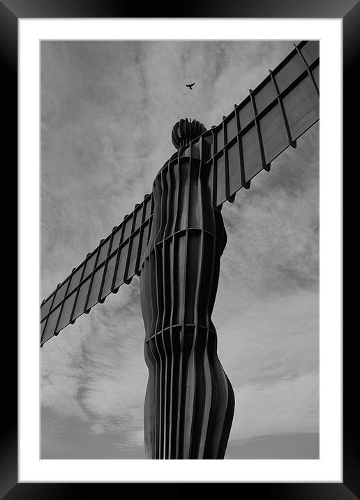 feathered angel of the north Framed Mounted Print by Northeast Images