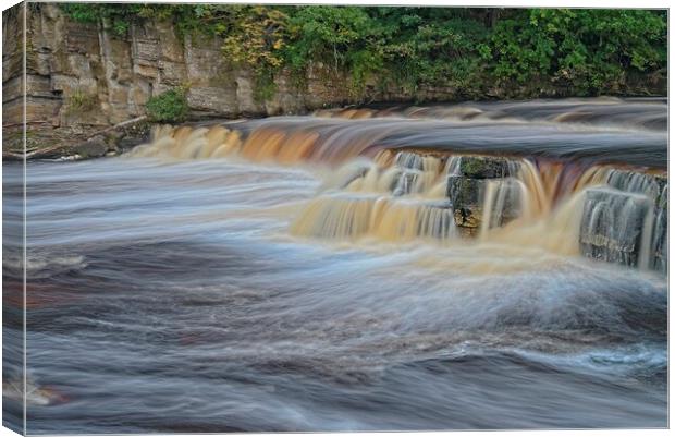 Waterfalls at Richmond North Yorkshire Canvas Print by Martyn Arnold