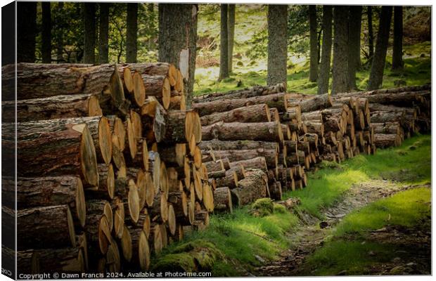Logs stacked neatly Canvas Print by Dawn Francis