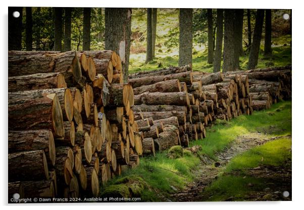 Logs stacked neatly Acrylic by Dawn Francis