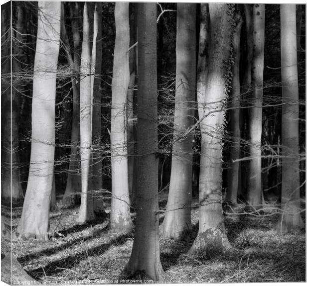  sunlit woodland in monochrome  Canvas Print by Simon Johnson