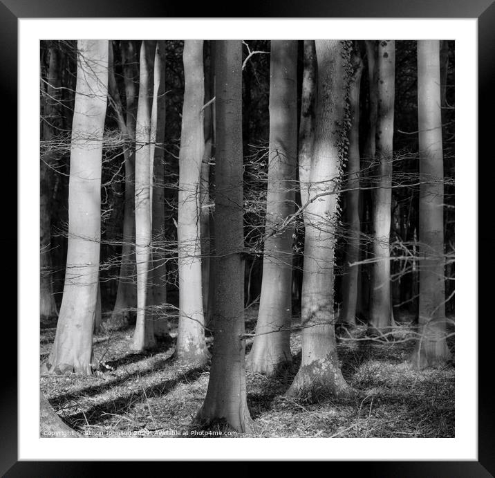  sunlit woodland in monochrome  Framed Mounted Print by Simon Johnson