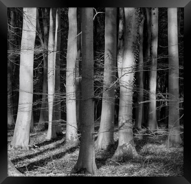  sunlit woodland in monochrome  Framed Print by Simon Johnson