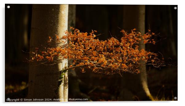 sunlit Beech leaves Acrylic by Simon Johnson