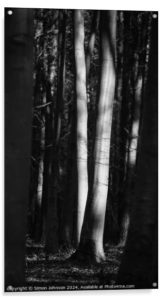 sunlit trees Acrylic by Simon Johnson