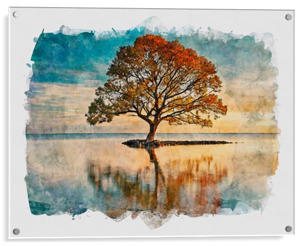 Lone Tree At Sunset Acrylic by Artificial Adventures