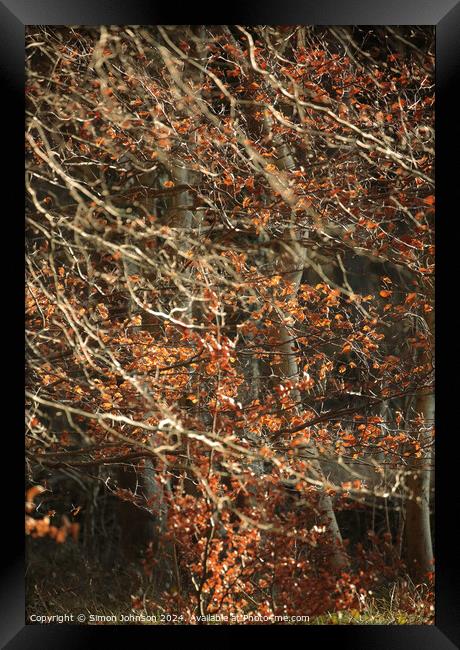 sunlit leaves and branches Framed Print by Simon Johnson