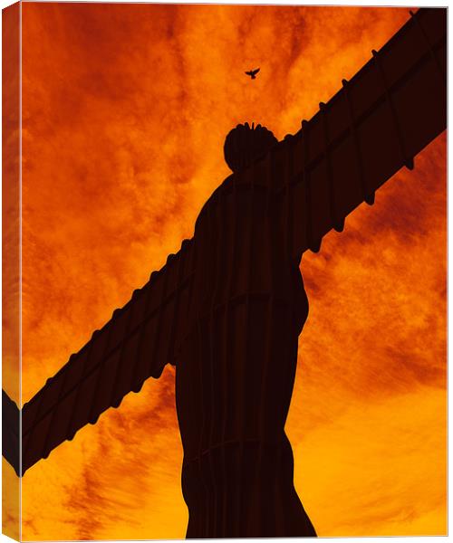 feathered angel of the north Canvas Print by Northeast Images