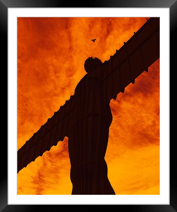 feathered angel of the north Framed Mounted Print by Northeast Images