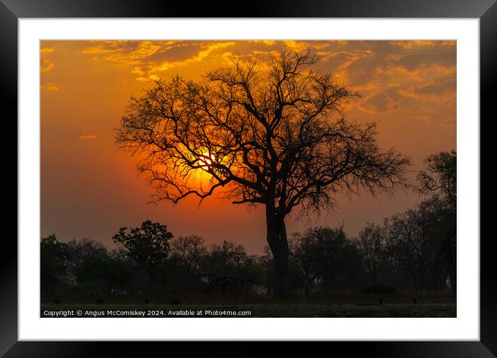 African sunset, Zambia Framed Mounted Print by Angus McComiskey