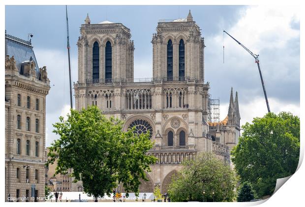Notre Dame de Paris Print by Man And Life