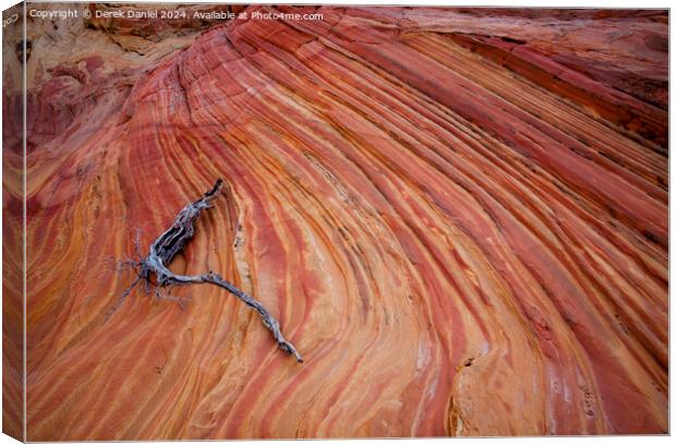 The Wonderful Colours At South Coyote Buttes Canvas Print by Derek Daniel