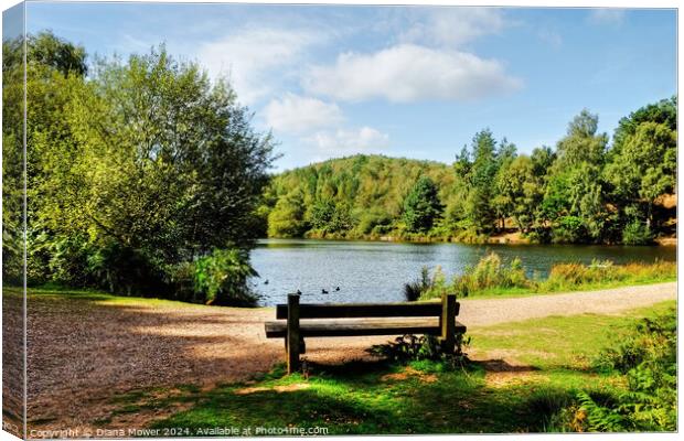 Cannock Chase Seat Canvas Print by Diana Mower