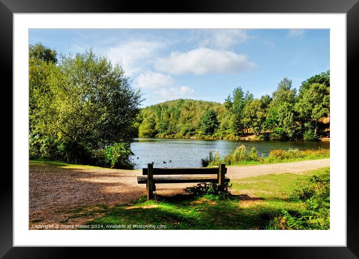 Cannock Chase Seat Framed Mounted Print by Diana Mower