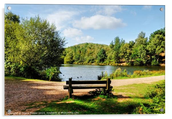 Cannock Chase Seat Acrylic by Diana Mower