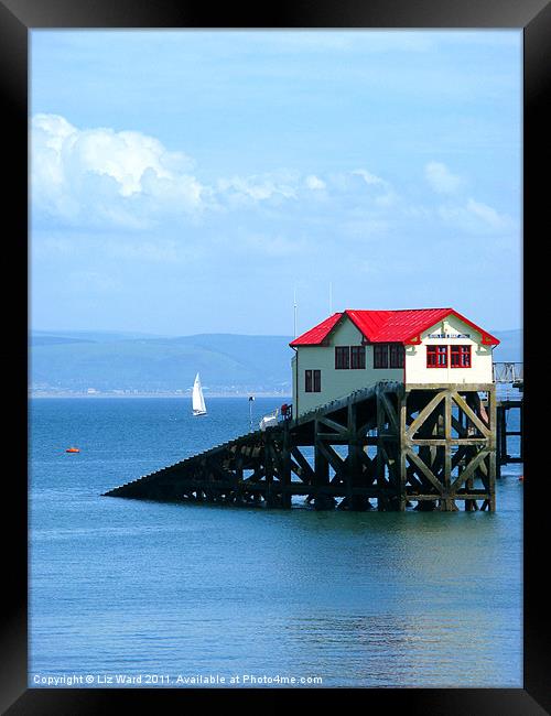 Swansea Bay Lifeboat station Framed Print by Liz Ward