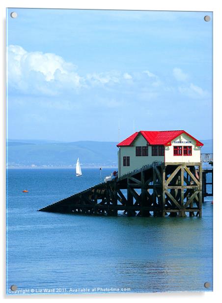Swansea Bay Lifeboat station Acrylic by Liz Ward
