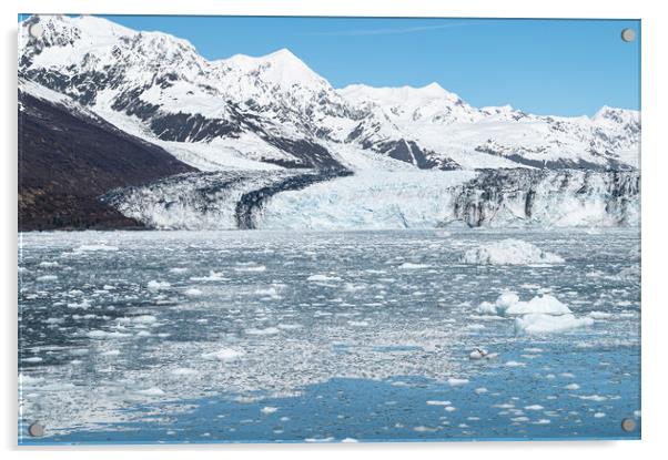 Harvard Tidewater Glacier at the end of College Fjord, Alaska, USA Acrylic by Dave Collins