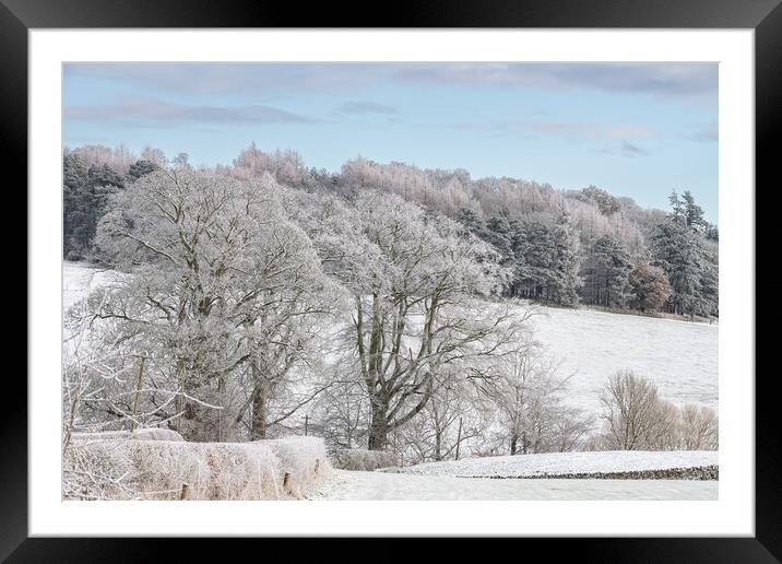 Snow Covered trees and fields in the Scottish Borders Framed Mounted Print by Dave Collins