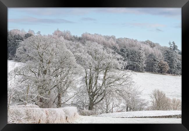 Snow Covered trees and fields in the Scottish Borders Framed Print by Dave Collins