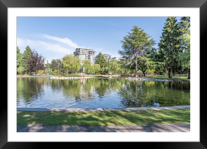 The large Pond in Minora Park in Richmond, Vancouver, Canada Framed Mounted Print by Dave Collins