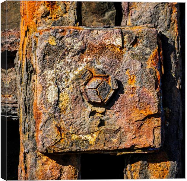Rusty Bolt, New Quay, Wales Canvas Print by Kevin Howchin