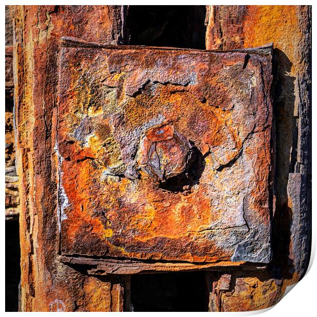 Rusty Bolt, New Quay, Wales Print by Kevin Howchin