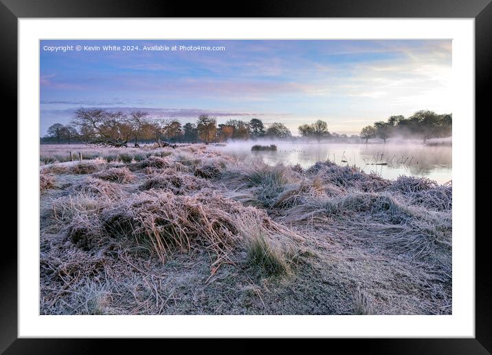 Frosty January morning at Bushy Park Framed Mounted Print by Kevin White