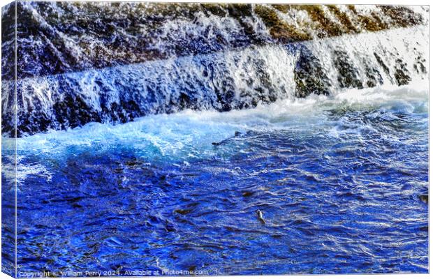 Multi-colored Salmon Dam Issaquah Creek Wahington  Canvas Print by William Perry