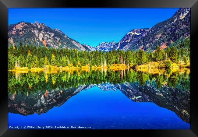 Gold Lake Reflection Mt Chikamin Peak Snoqualme Pass Washington Framed Print by William Perry