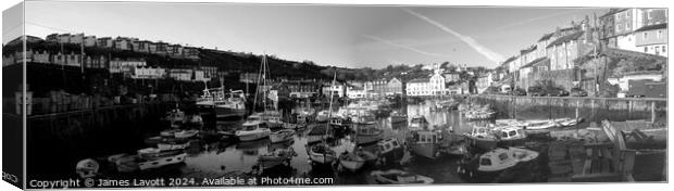 Mevagissey Panorama Canvas Print by James Lavott