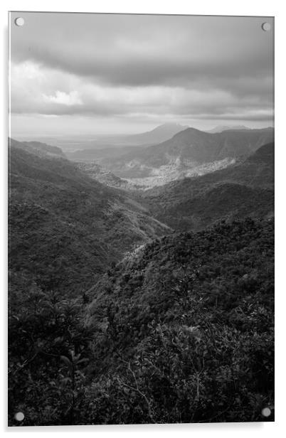 Black River Gorge Viewpoint in Mauritius Black and White Acrylic by Dietmar Rauscher