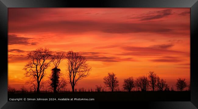 Tree silhouette at sunrise  Framed Print by Simon Johnson