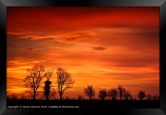 Tree silhouette  Framed Print by Simon Johnson