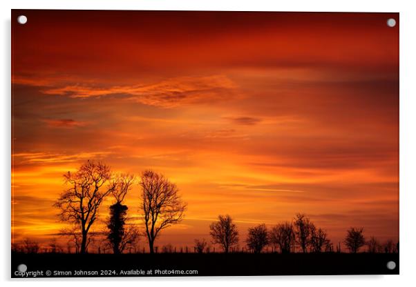 Tree silhouette at sunrise  Acrylic by Simon Johnson