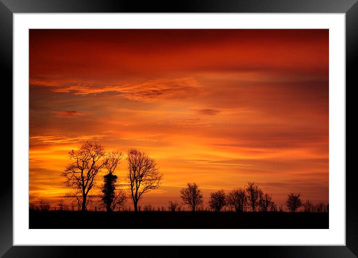 Tree silhouette sunrise  Framed Mounted Print by Simon Johnson