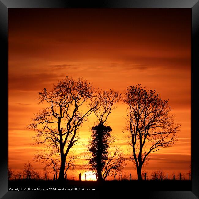 Tree silhouette sunrise  Framed Print by Simon Johnson