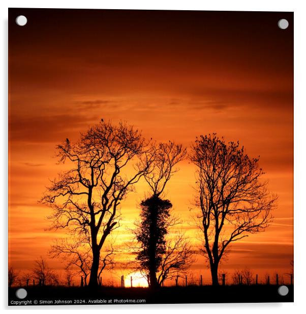 Tree silhouette sunrise  Acrylic by Simon Johnson
