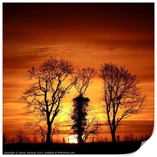 Tree silhouette  Print by Simon Johnson