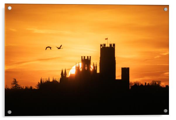 Dawn behind Ely Cathedral, 28th January 2024 Acrylic by Andrew Sharpe