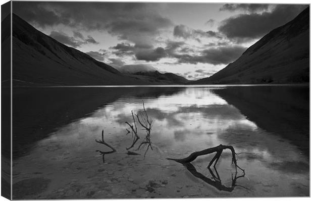 The Branch, Loch Etive Canvas Print by Creative Photography Wales