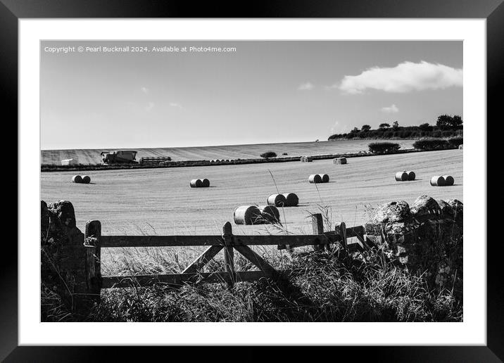Harvest Country Scene in the Countryside St Abbs  Framed Mounted Print by Pearl Bucknall