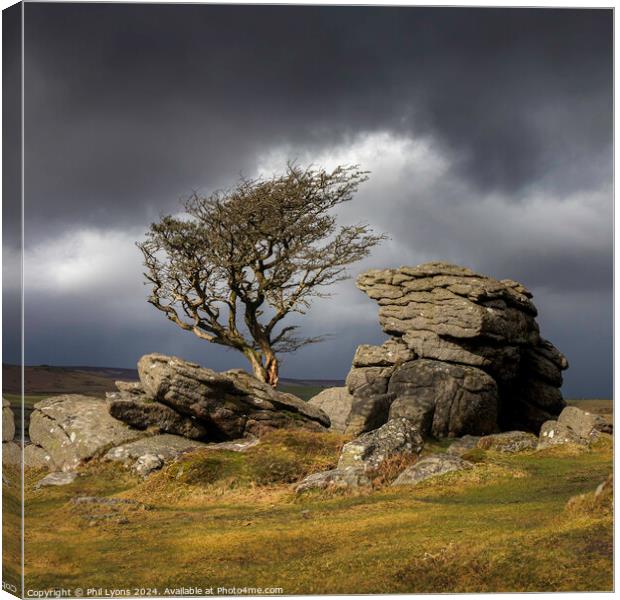 Moody Moorland Canvas Print by Phil Lyons