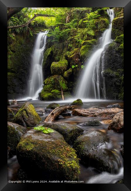 Twin Shower Framed Print by Phil Lyons