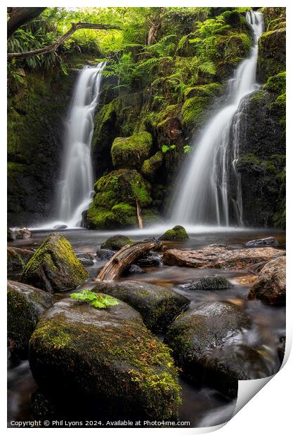 Twin Shower Print by Phil Lyons