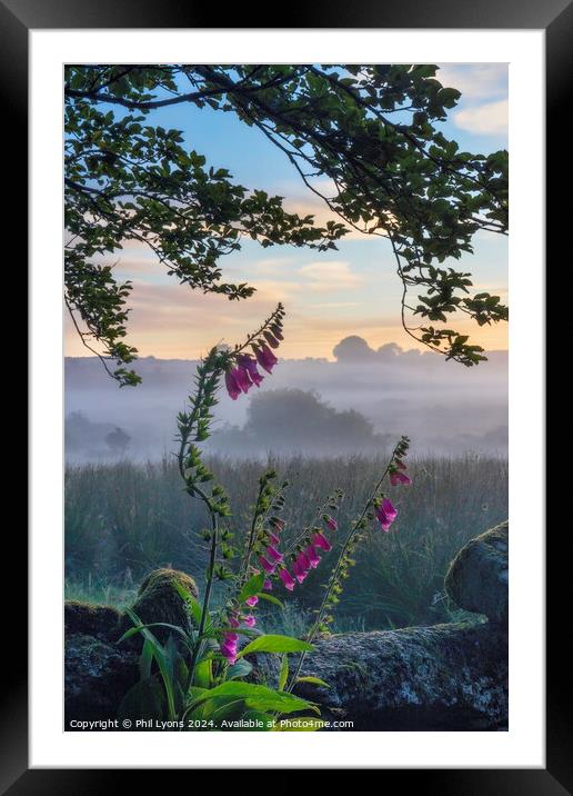 Bellever Dawn Framed Mounted Print by Phil Lyons