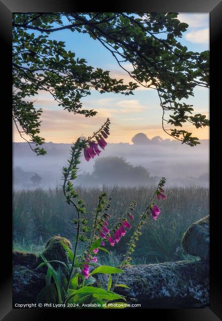 Bellever Dawn Framed Print by Phil Lyons